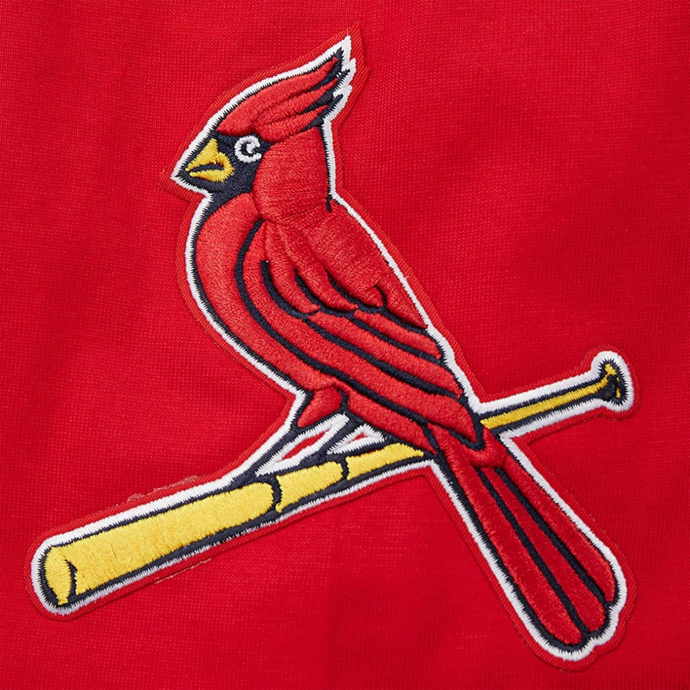 St. Louis Cardinals Pro Standard Oversized City Tour T-Shirt - MLB
