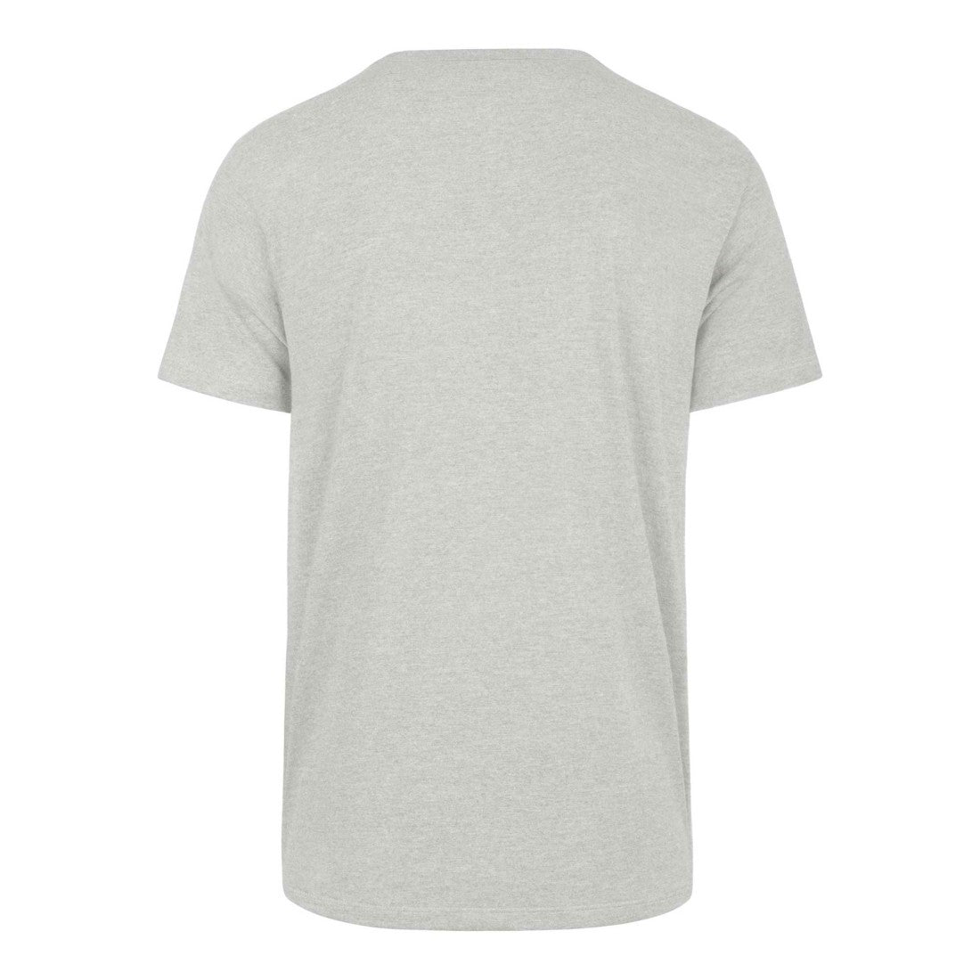 Detroit Lions '47 Downburst Franklin T-Shirt Gray | 47 brand