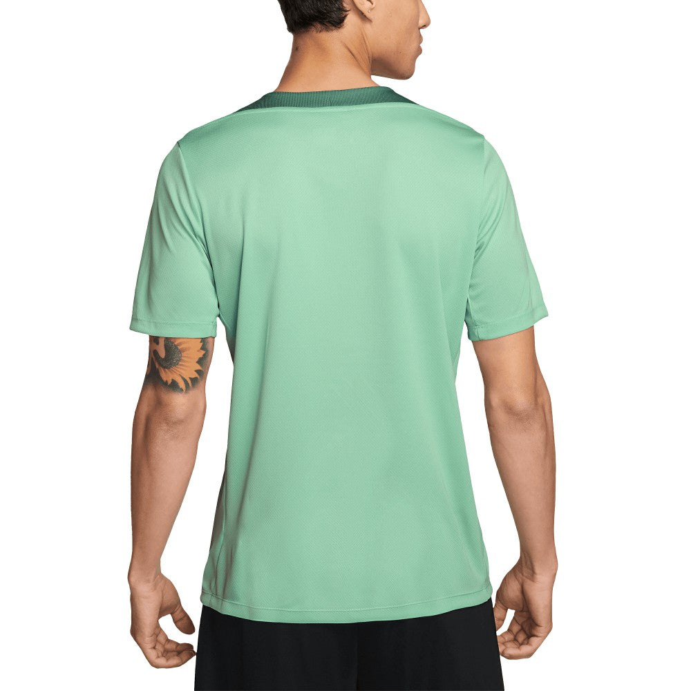 Tottenham Hotspur 2024 Third Strike Slim Fit Performance Top Green | Nike discount