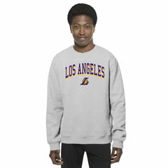 Los Angeles Lakers Chenille Cross Over Pullover Sweatshirt Gray - NBA