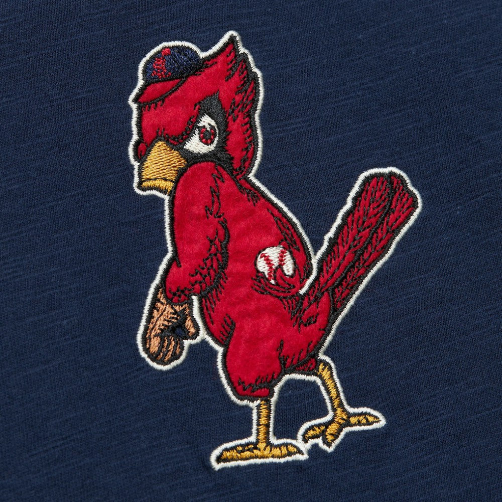St. Louis Cardinals Mitchell & Ness Cooperstown Collection Legendary Raglan Slub Henley Three-Quarter Sleeve T-Shirt - MLB