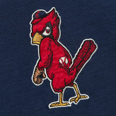 St. Louis Cardinals Mitchell & Ness Cooperstown Collection Legendary Raglan Slub Henley Three-Quarter Sleeve T-Shirt - MLB