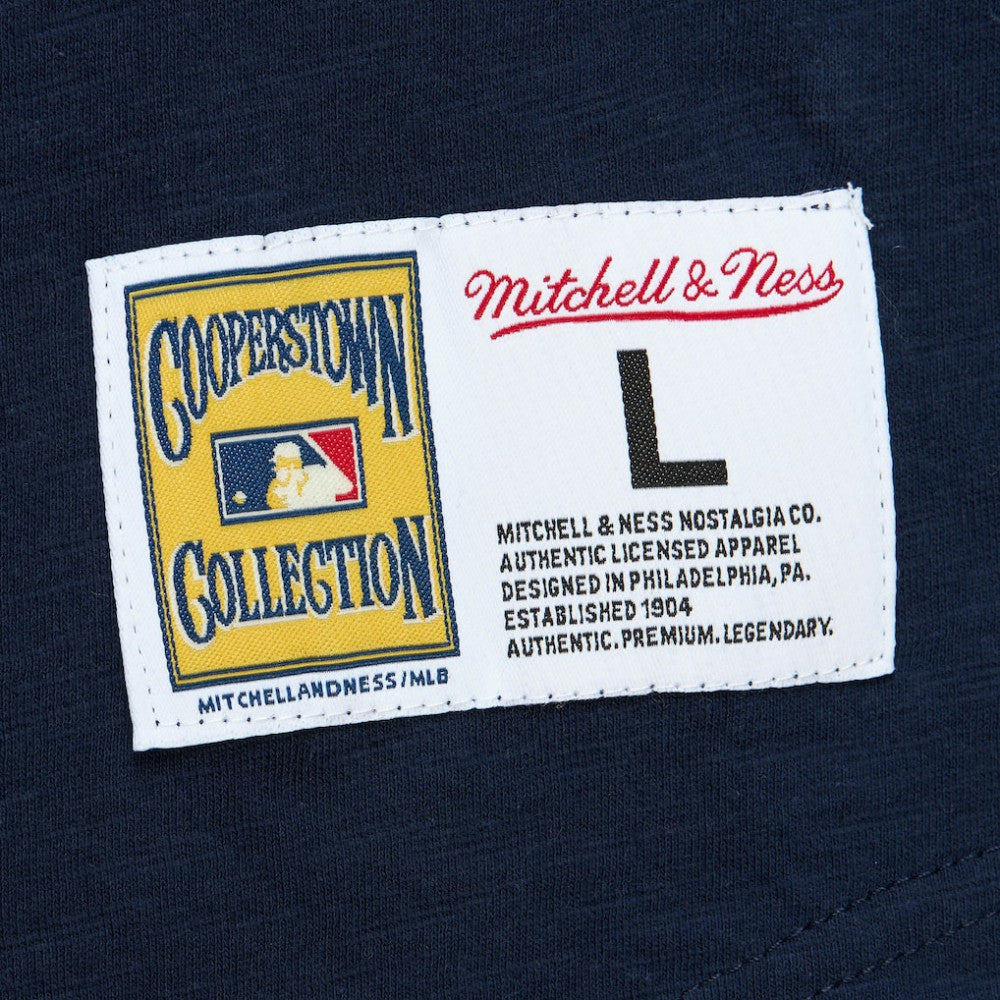 St. Louis Cardinals Mitchell & Ness Cooperstown Collection Legendary Raglan Slub Henley Three-Quarter Sleeve T-Shirt - MLB