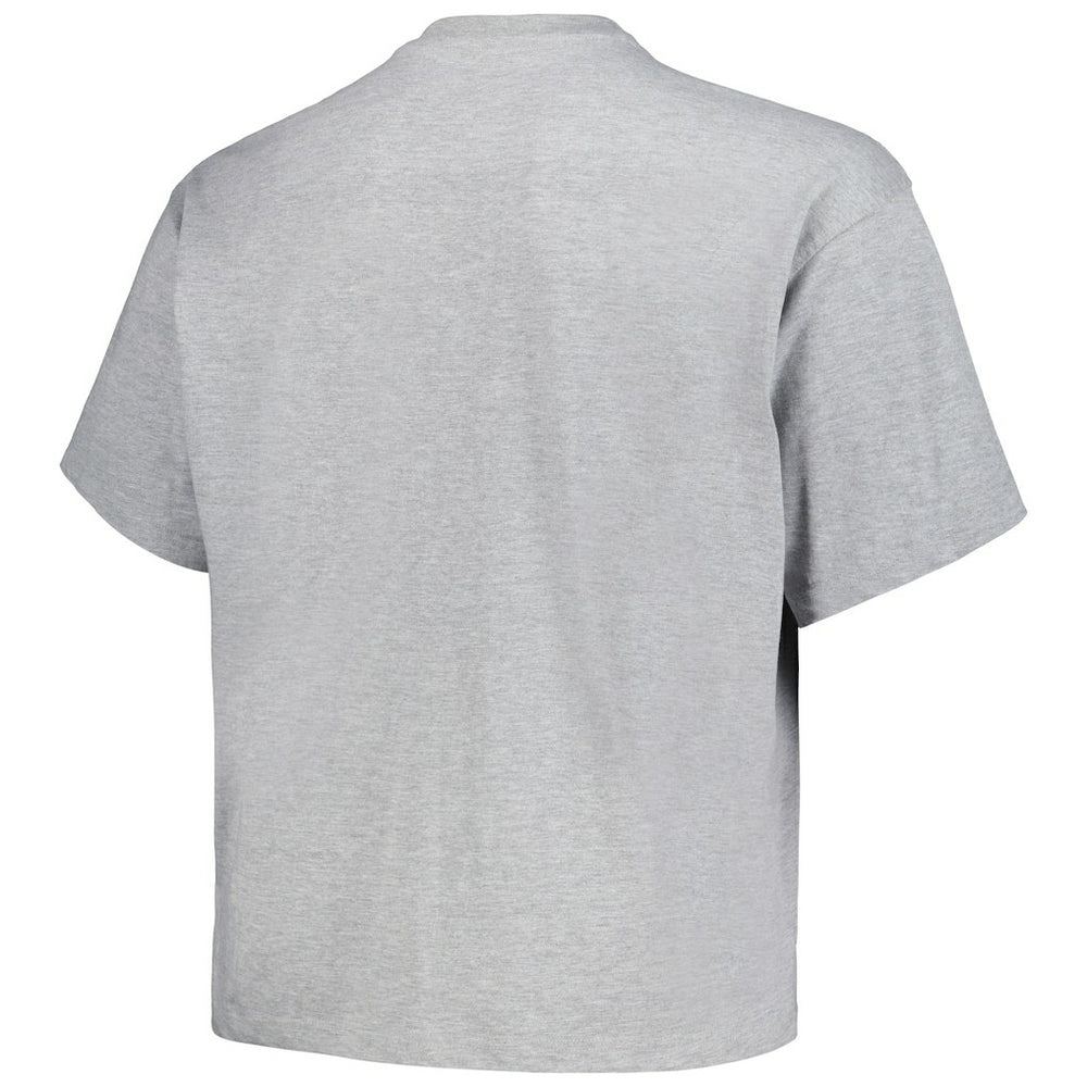 Denver Nuggets Big & Tall Hardwood Classics Vintage Logo T-Shirt Heather Gray - NBA