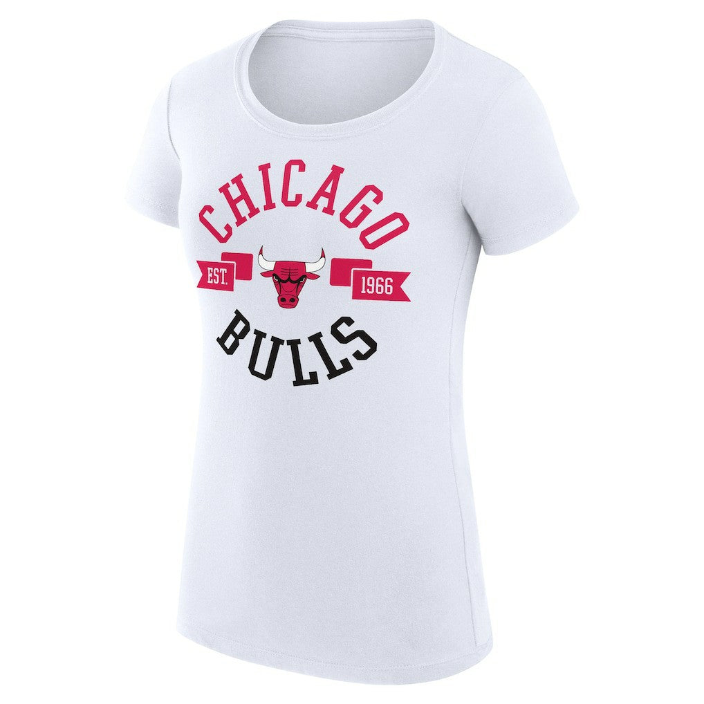 Chicago Bulls G-III 4Her by Carl Banks Women's Super-Slim Fit Lightweight Large City Logo T-Shirt White - NBA