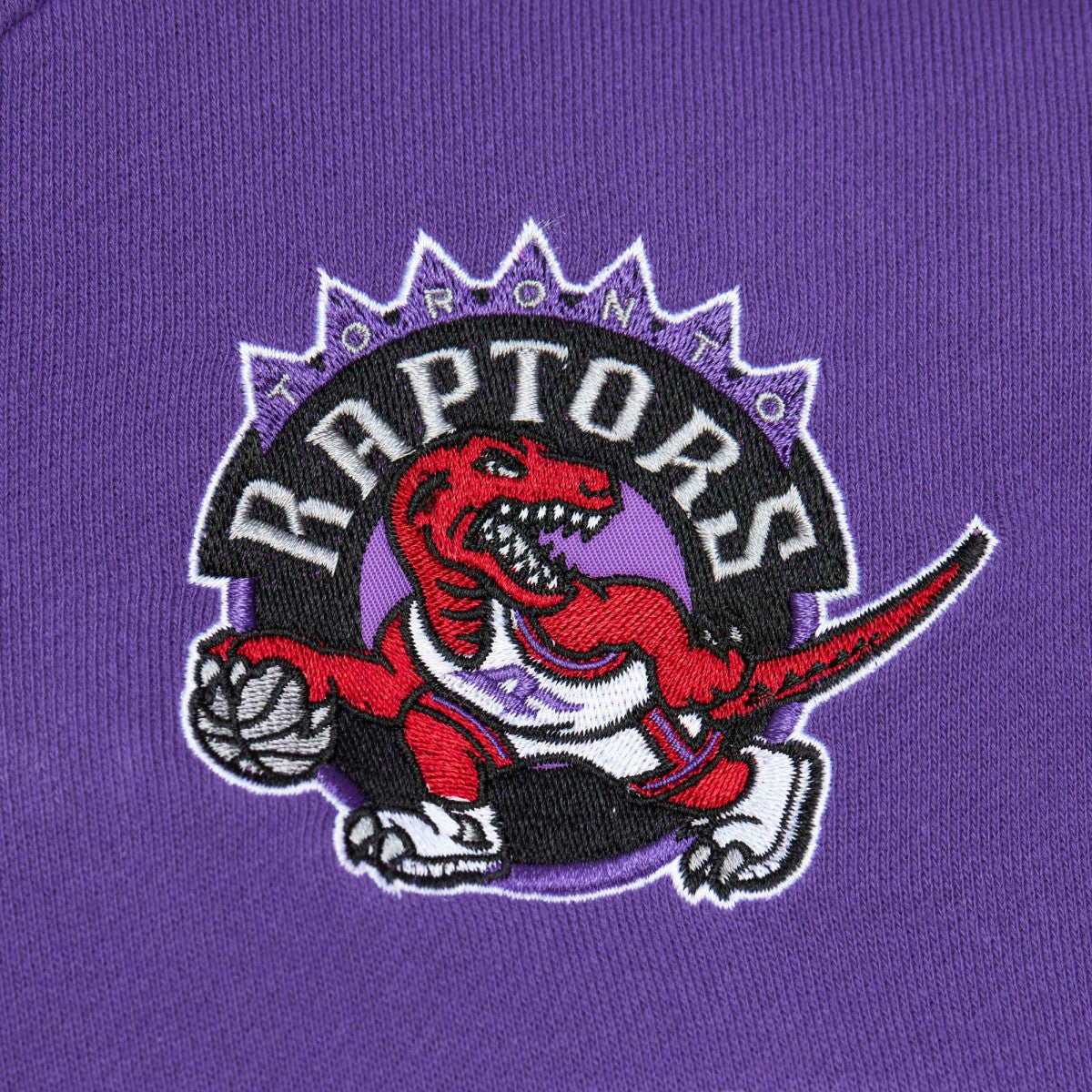 Toronto Raptors Head Coach Pullover Hoodie Red/Purple - NBA