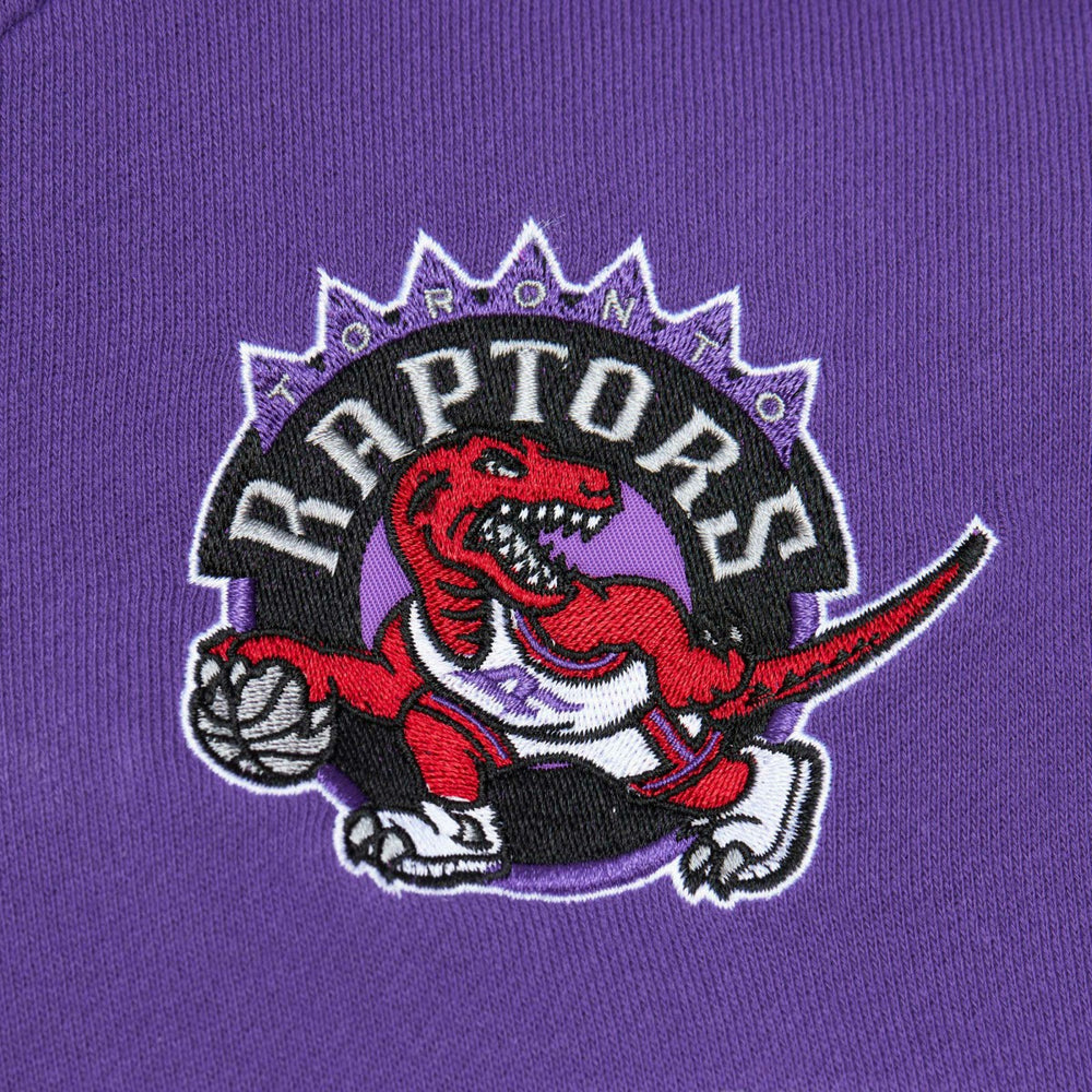 Toronto Raptors Head Coach Pullover Hoodie Red/Purple - NBA