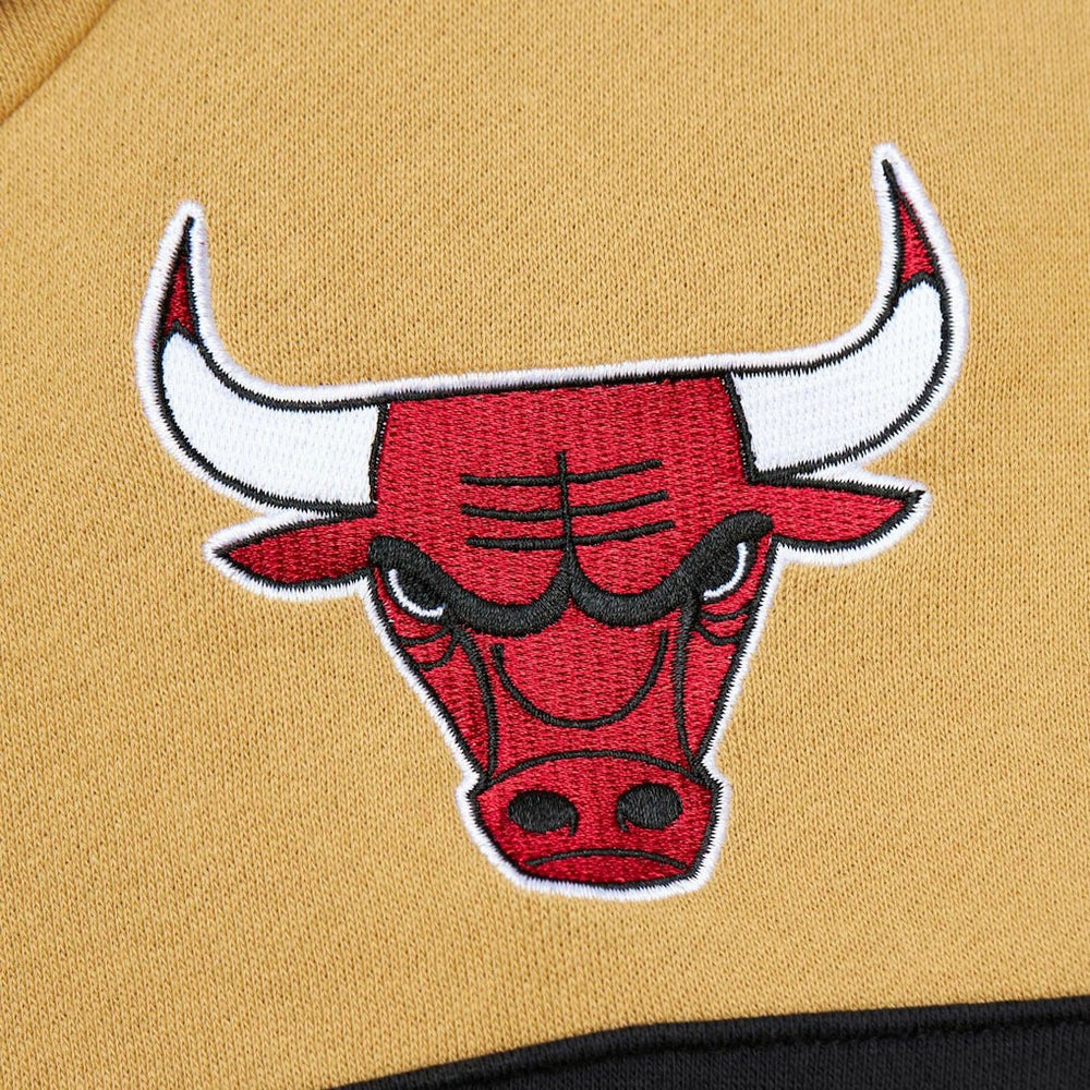 Chicago Bulls Head Coach Pullover Hoodie Red/Gold - NBA