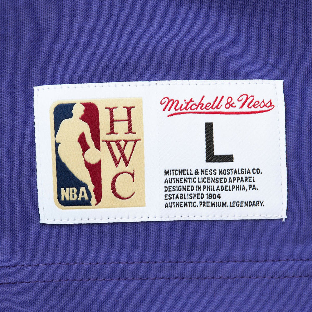 Milwaukee Bucks Hardwood Classics Team OG 2.0 Premium Vintage Logo T-Shirt Purple - NBA