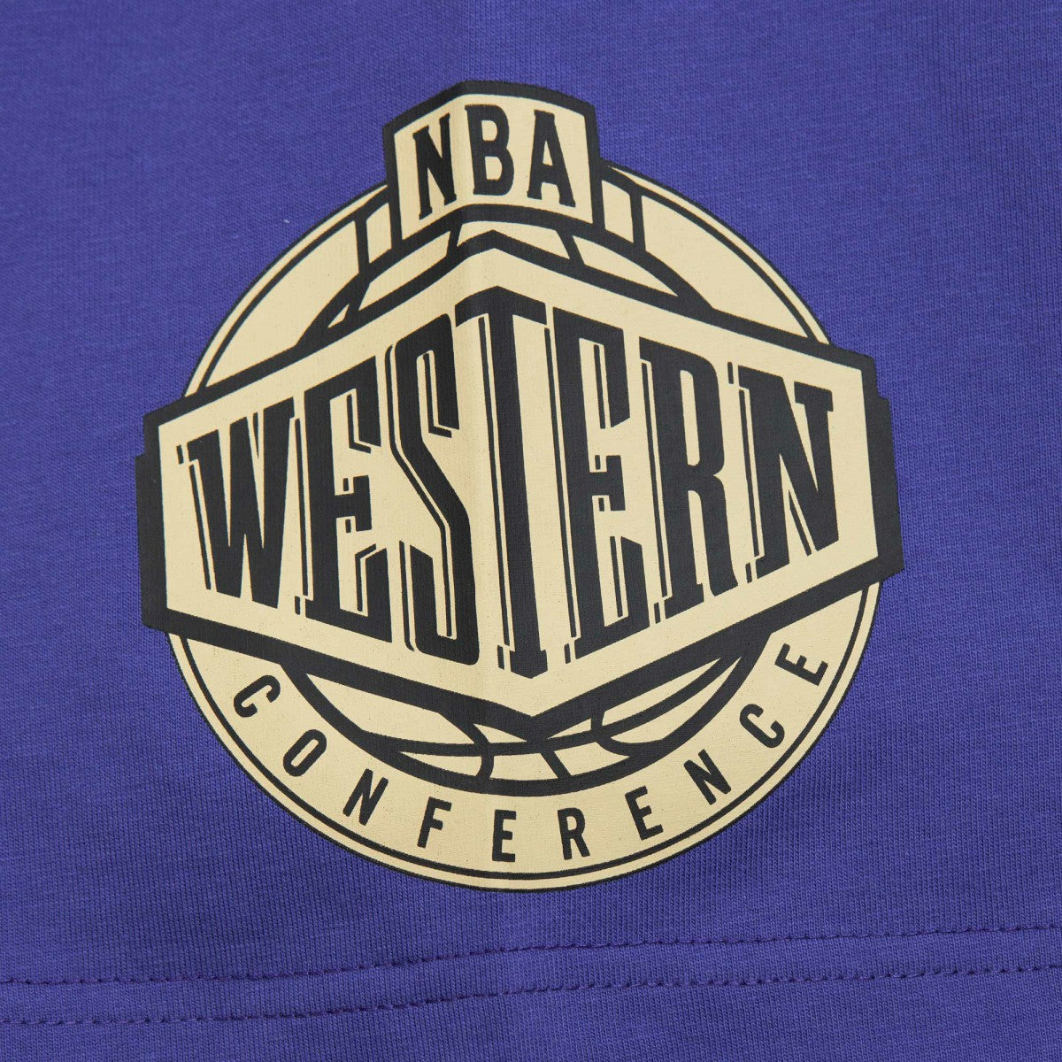 Phoenix Suns Hardwood Classics Team OG 2.0 Premium Vintage Logo T-Shirt Purple - NBA