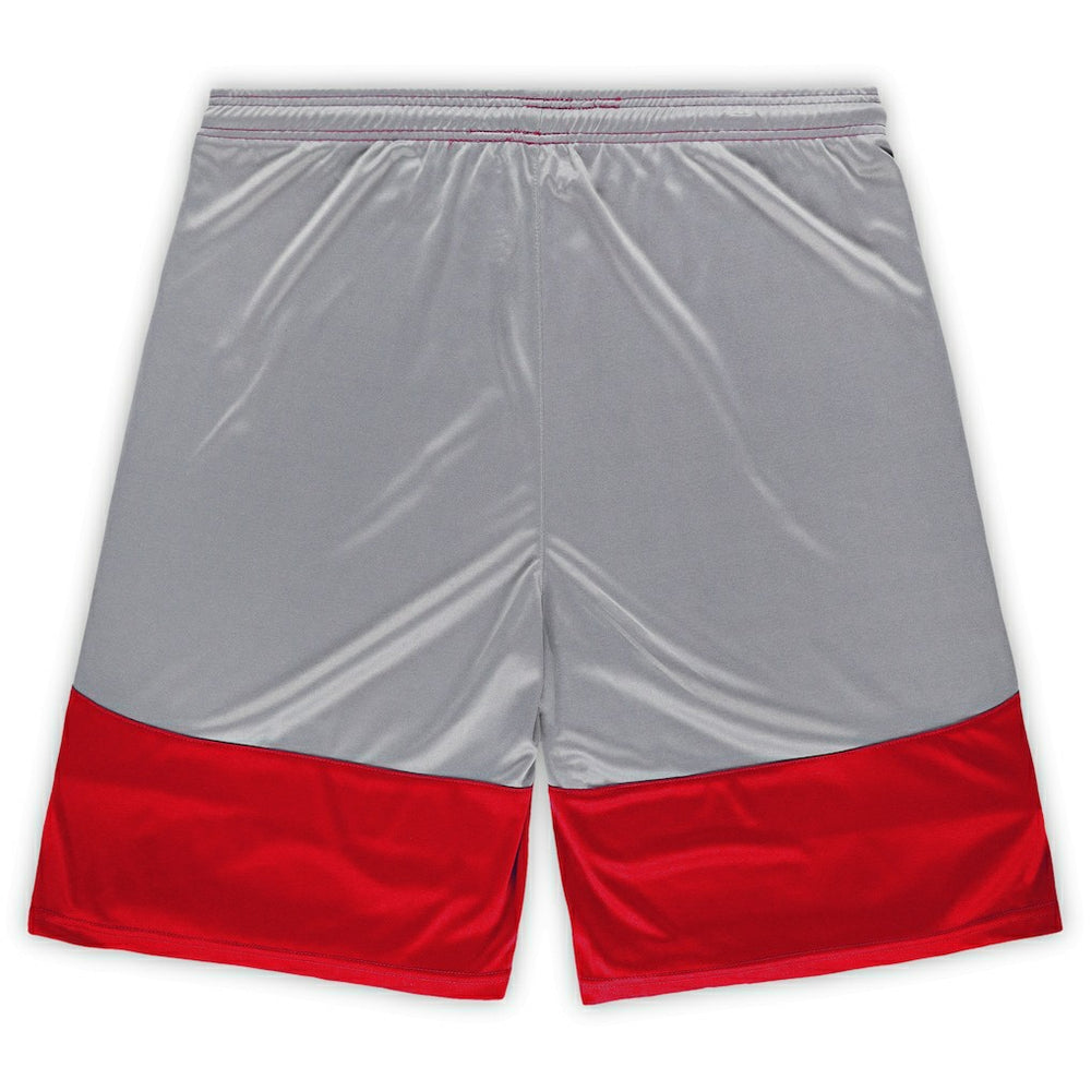 San Francisco 49ers Big & Tall Team Logo Shorts Scarlet | Fanatics