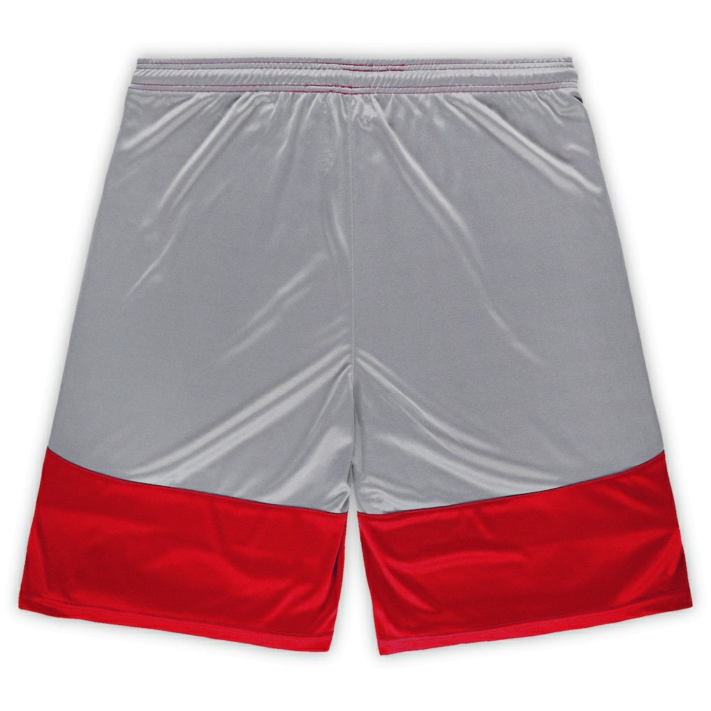 Arizona Cardinals Big & Tall Team Logo Shorts Cardinal | Fanatics