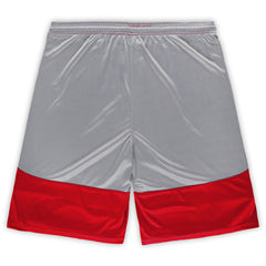 Arizona Cardinals Big & Tall Team Logo Shorts Cardinal | Fanatics