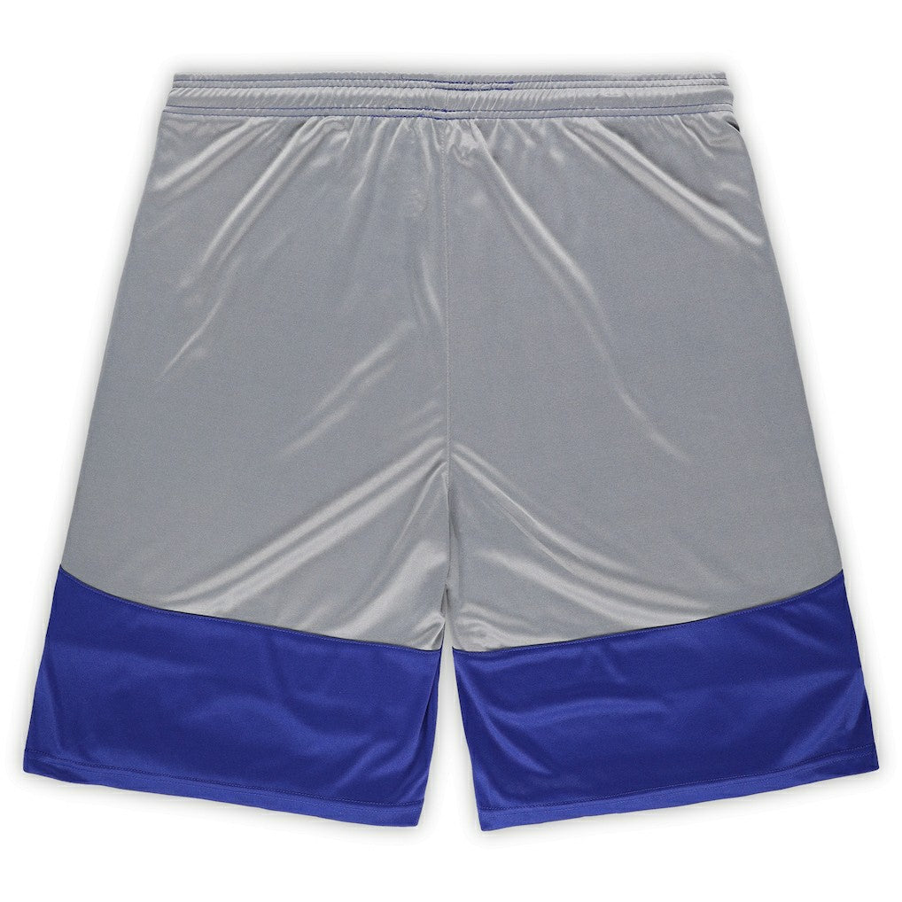 Indianapolis Colts Big & Tall Team Logo Shorts Royal | Fanatics