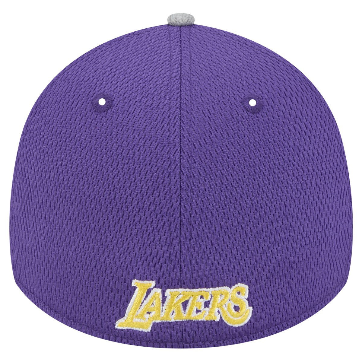 Los Angeles Lakers Active Trim 39THIRTY Flex Hat Gray/Purple - NBA
