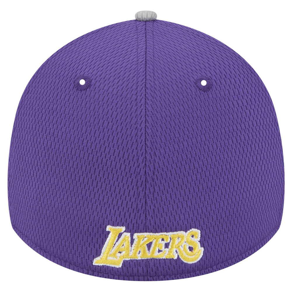 Los Angeles Lakers Active Trim 39THIRTY Flex Hat Gray/Purple - NBA