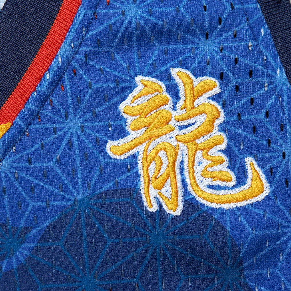 Baron Davis Golden State Warriors 2006/07 Hardwood Classics Asian Heritage 6.0 Swingman Throwback Player Jersey Royal - NBA