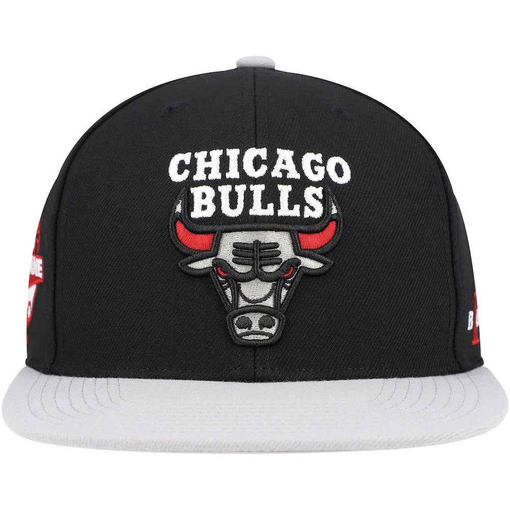 Chicago Bulls Core Snapback Hat Black/Gray - NBA