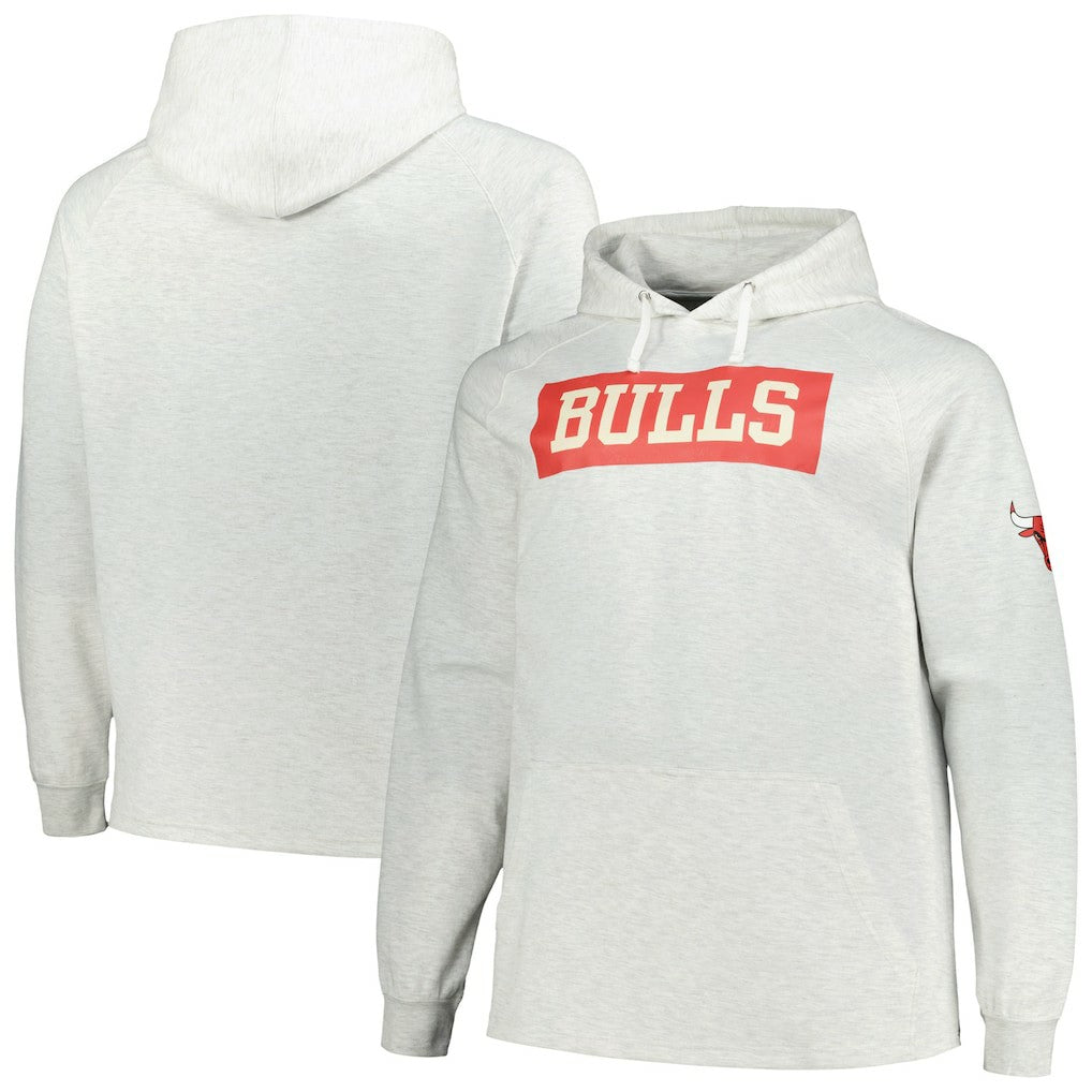Chicago Bulls Big & Tall Raglan Tri-Blend Pullover Hoodie Ash - NBA
