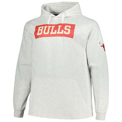 Chicago Bulls Big & Tall Raglan Tri-Blend Pullover Hoodie Ash - NBA