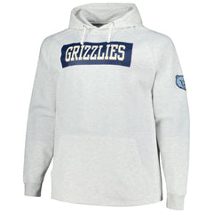 Memphis Grizzlies Big & Tall Raglan Tri-Blend Pullover Hoodie Ash - NBA