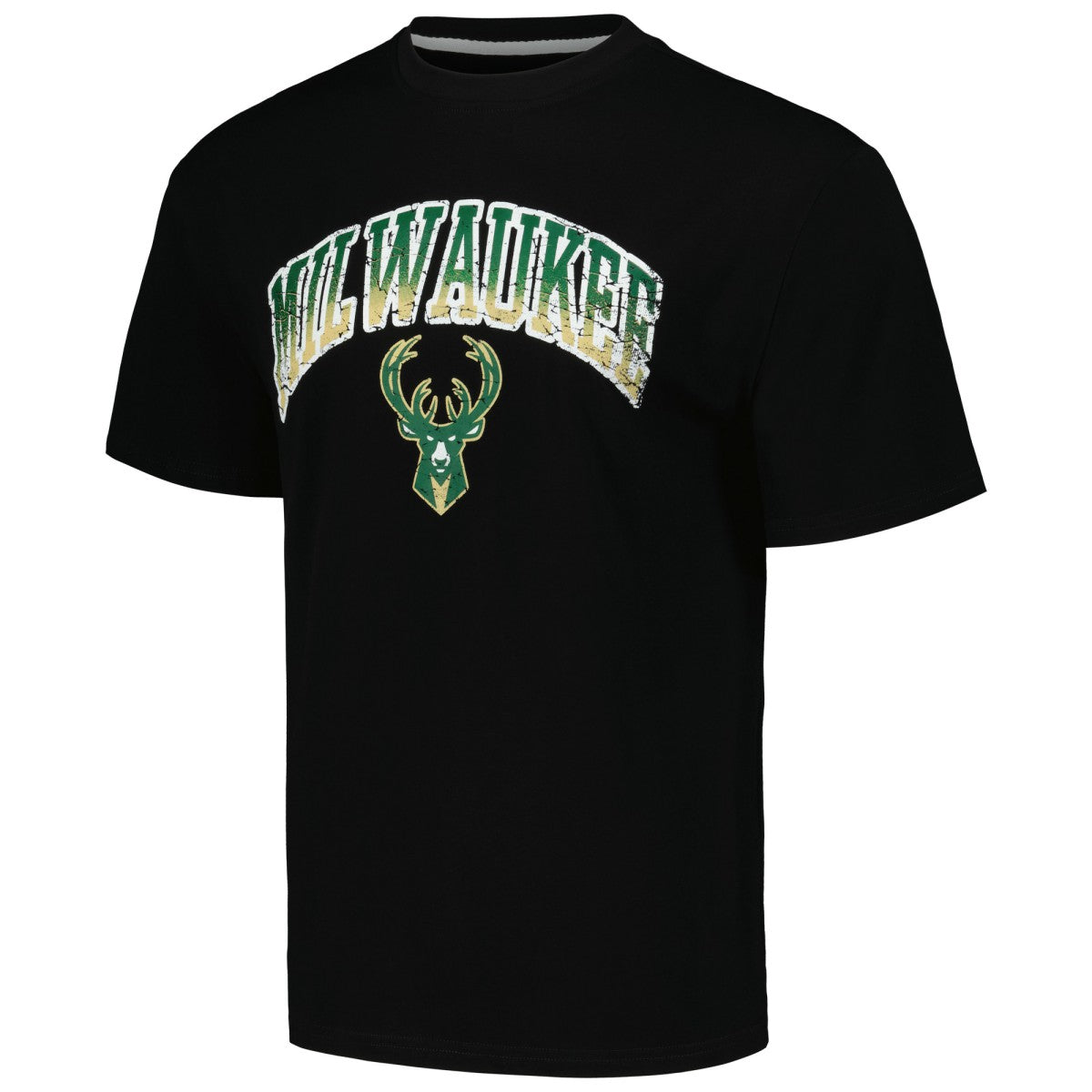 Milwaukee Bucks Stadium Essentials Unisex Terrace T-Shirt Black - NBA