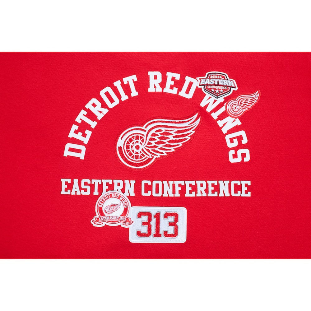 Detroit Red Wings Pro Standard Women's Area Code Cropped Pullover Sweatshirt - Red - NHL