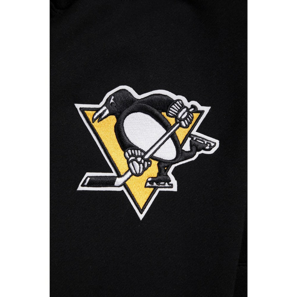 Pittsburgh Penguins Pro Standard Paint the City Pullover Hoodie - Black - NHL