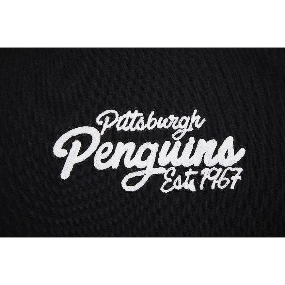 Pittsburgh Penguins Pro Standard Paint the City Pullover Hoodie - Black - NHL