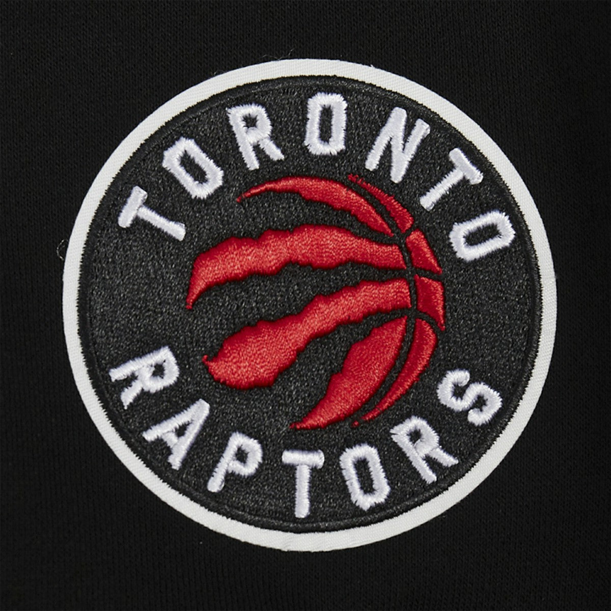 Toronto Raptors Pro Standard Women's Jewels Cropped Pullover Hoodie Black - NBA