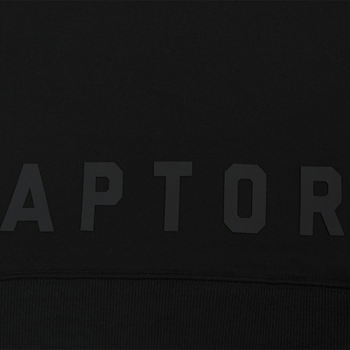 Toronto Raptors Pro Standard Women's Jewels Cropped Pullover Hoodie Black - NBA