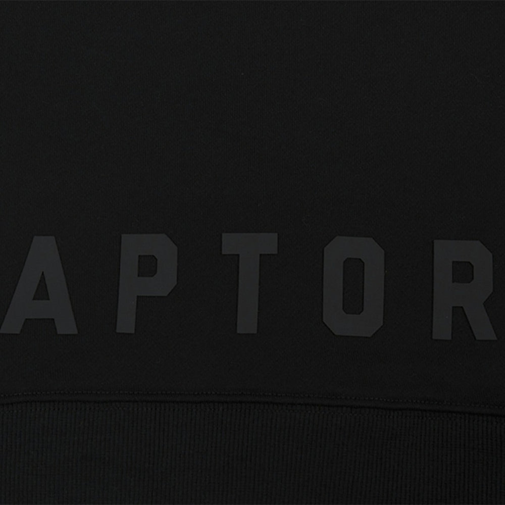 Toronto Raptors Pro Standard Women's Jewels Cropped Pullover Hoodie Black - NBA