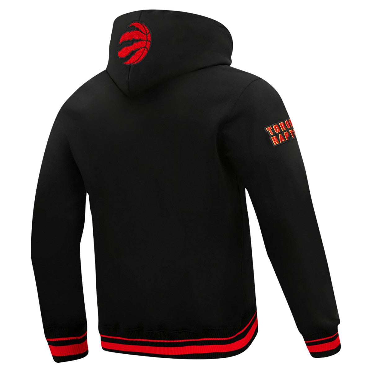 Toronto Raptors Pro Standard Area Code Pullover Hoodie Black - NBA