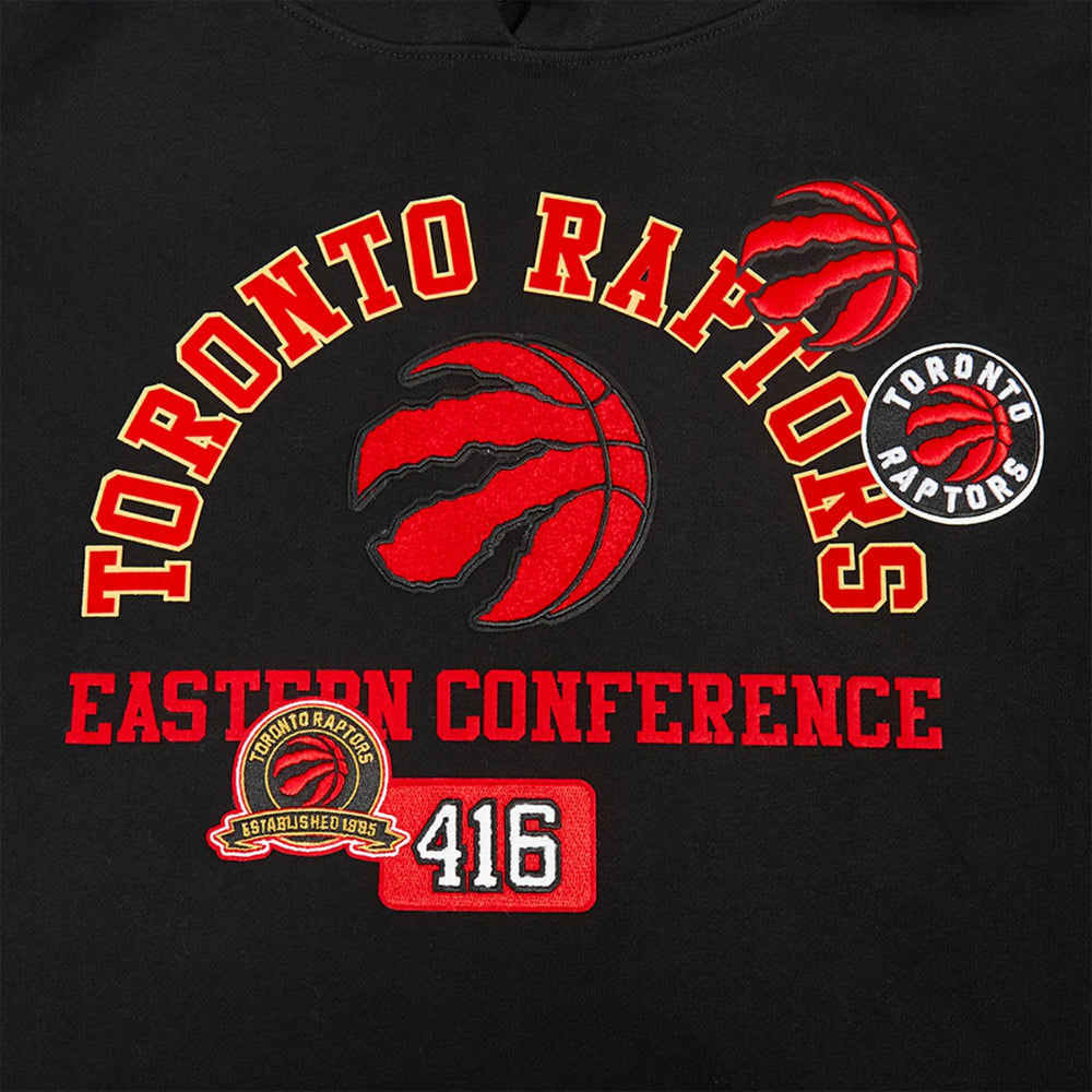 Toronto Raptors Pro Standard Area Code Pullover Hoodie Black - NBA