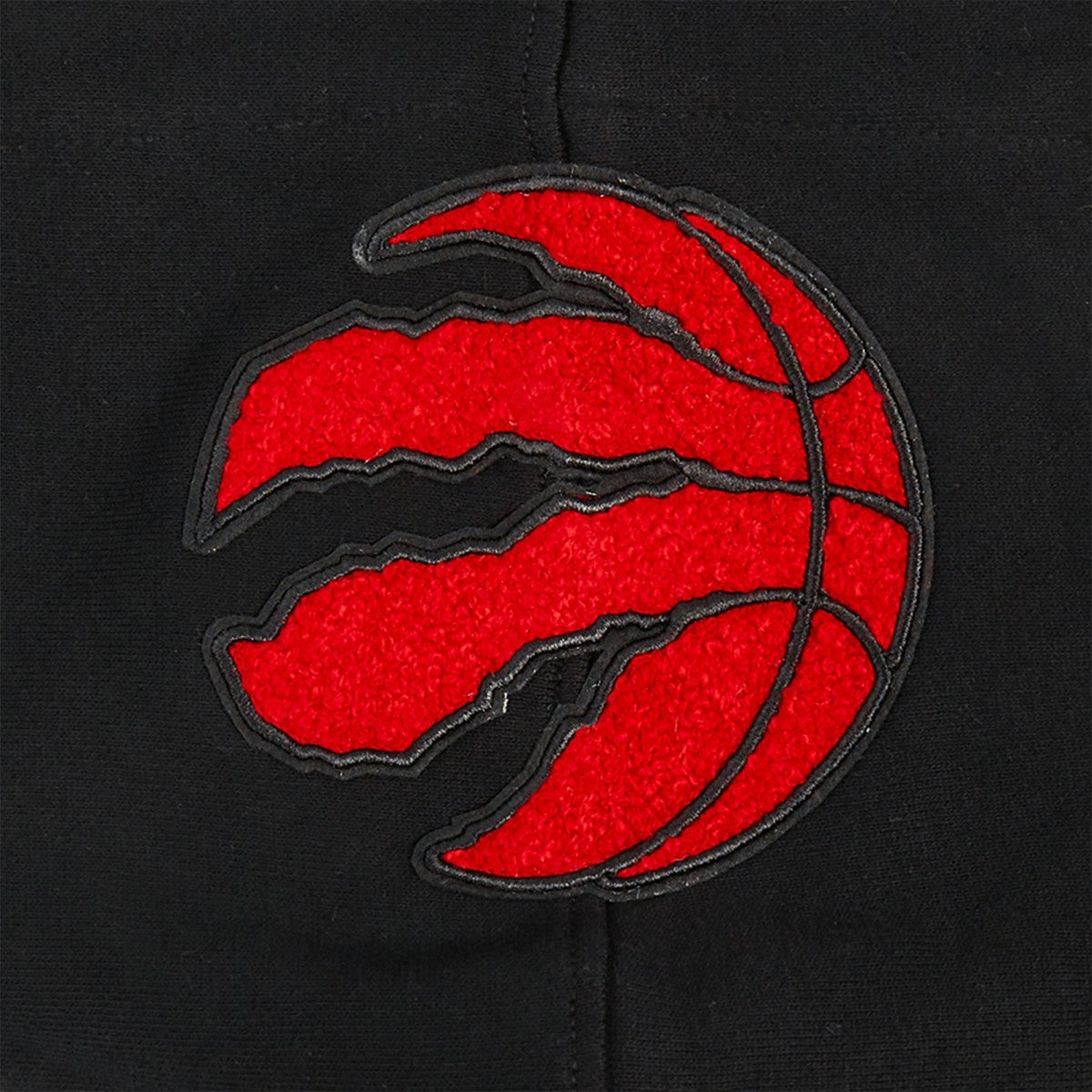 Toronto Raptors Pro Standard Area Code Pullover Hoodie Black - NBA