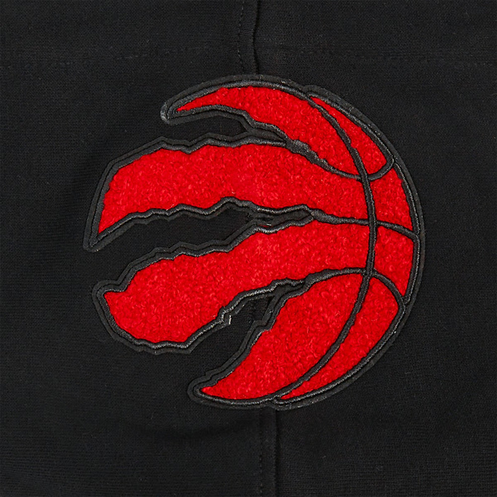 Toronto Raptors Pro Standard Area Code Pullover Hoodie Black - NBA
