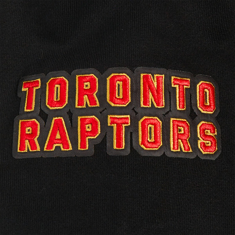 Toronto Raptors Pro Standard Area Code Pullover Hoodie Black - NBA