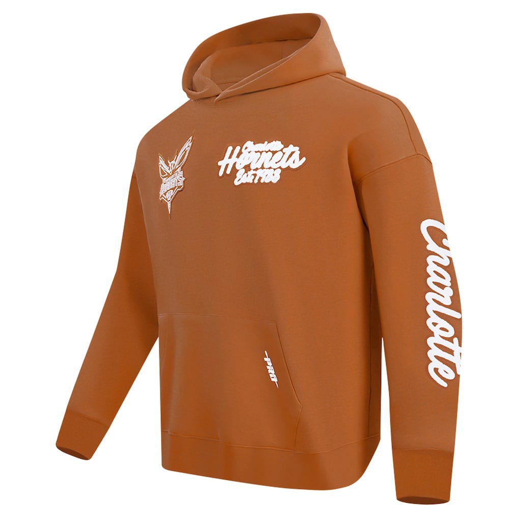 Charlotte Hornets Pro Standard Paint the City Drop Shoulder Pullover Hoodie Brown - NBA