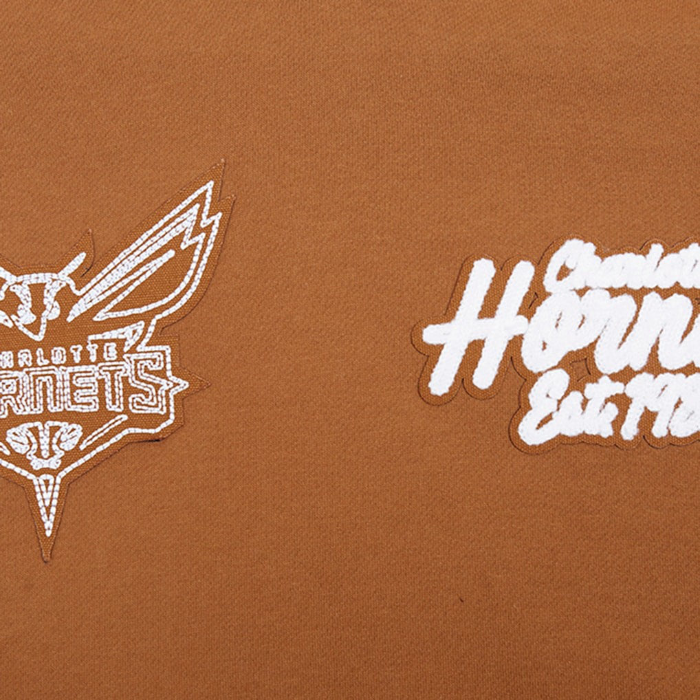 Charlotte Hornets Pro Standard Paint the City Drop Shoulder Pullover Hoodie Brown - NBA
