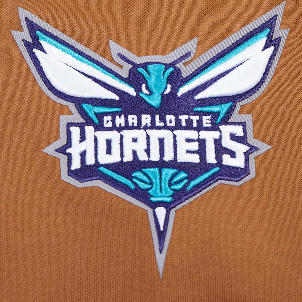 Charlotte Hornets Pro Standard Paint the City Drop Shoulder Pullover Hoodie Brown - NBA