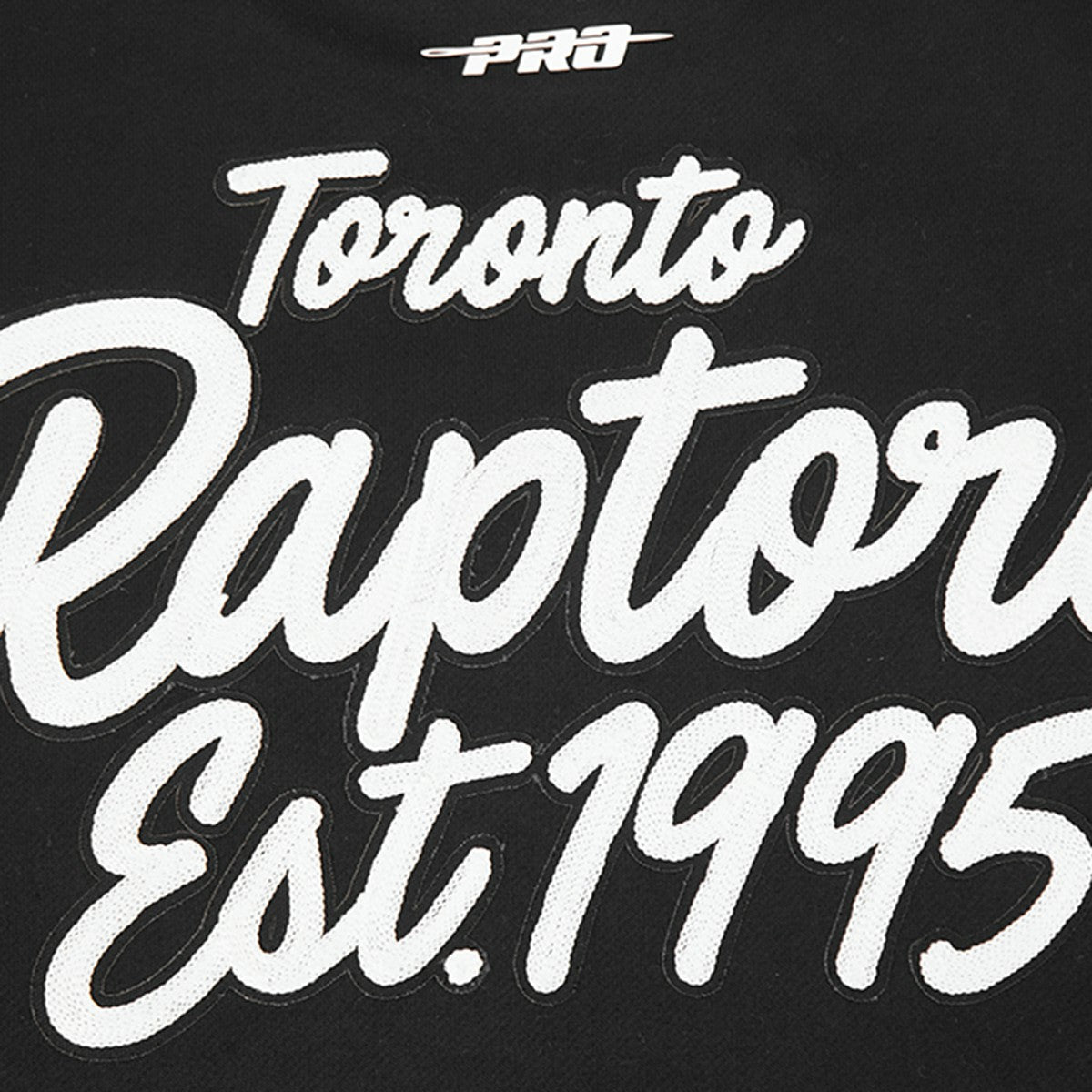 Toronto Raptors Pro Standard Paint the City Drop Shoulder Sweatshirt Black - NBA