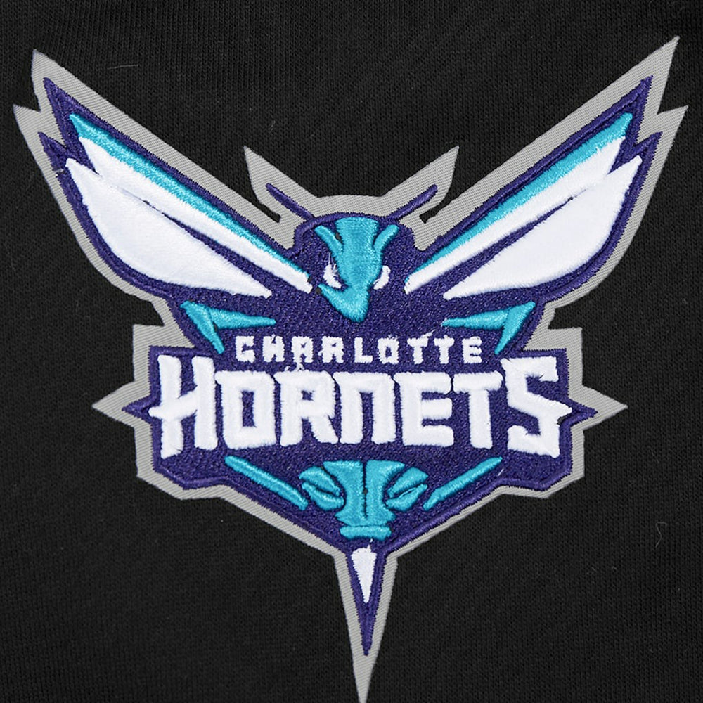 Charlotte Hornets Pro Standard Paint the City Drop Shoulder Sweatshirt Black - NBA