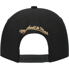 Florida Panthers Mitchell & Ness Core Team Script 2.0 Snapback Hat - Black - NHL