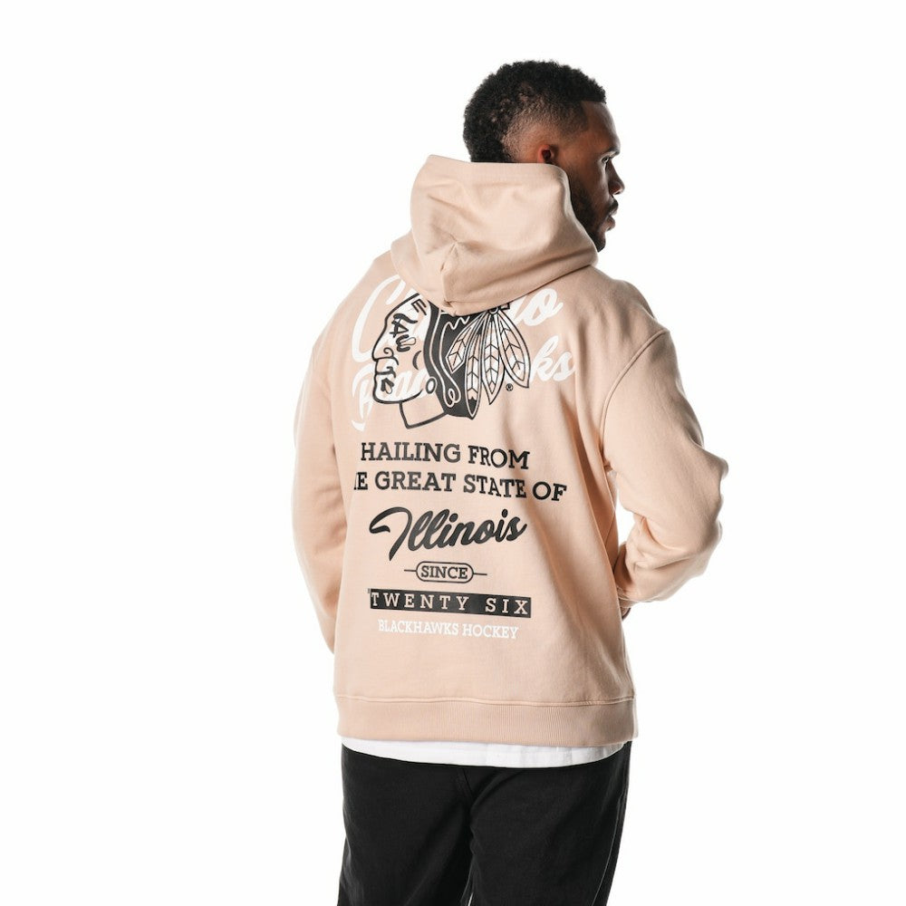 Chicago Blackhawks The Wild Collective Unisex Pullover Hoodie - Cream - NHL