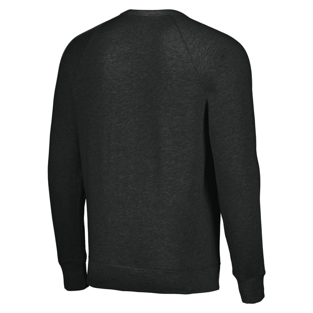 Houston Texans Homage Unisex Color Rush Crest Tri-Blend Pullover Sweatshirt Charcoal | NFL