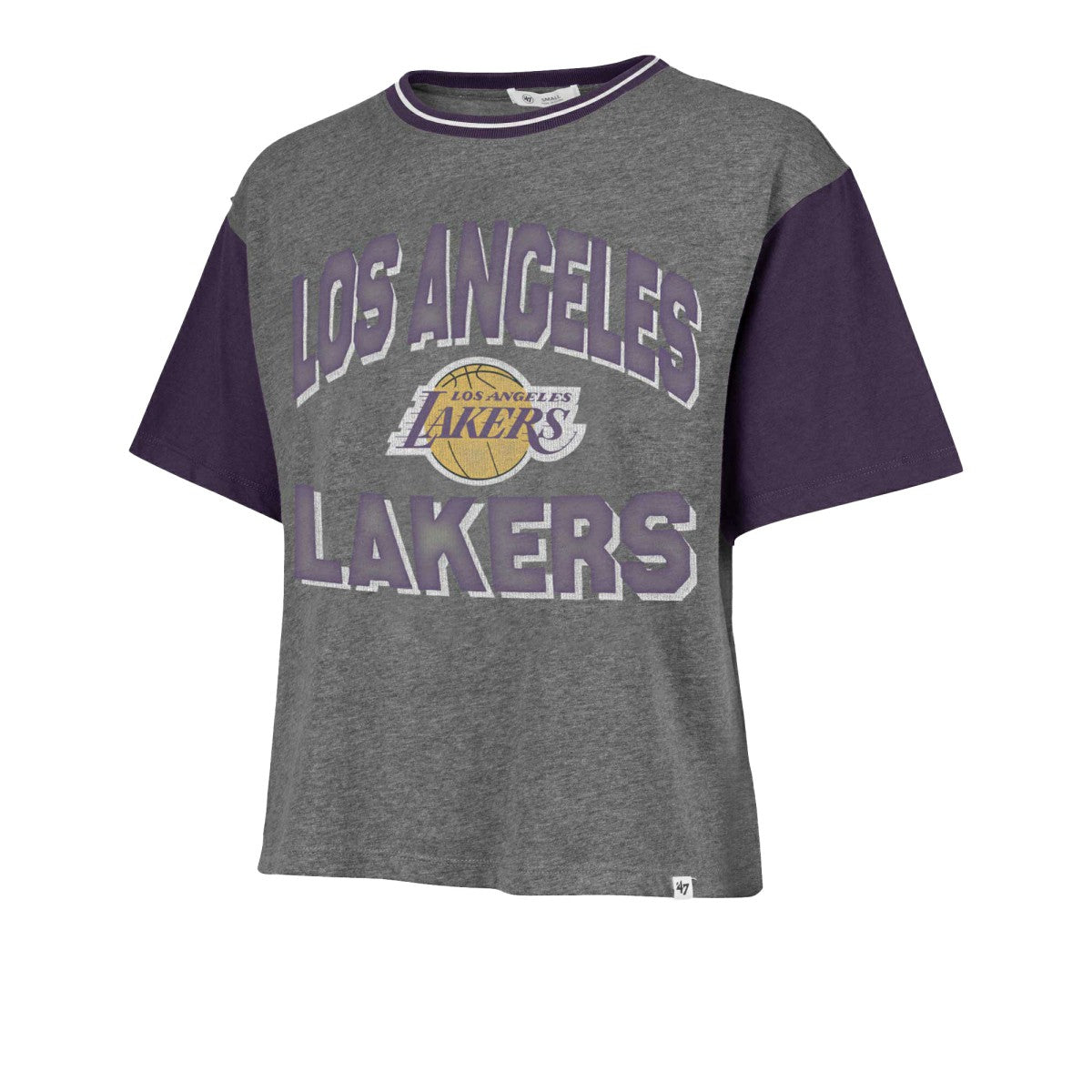Los Angeles Lakers '47 Women's Rise Clubhouse Ziggy Color Block T-Shirt Gray - NBA