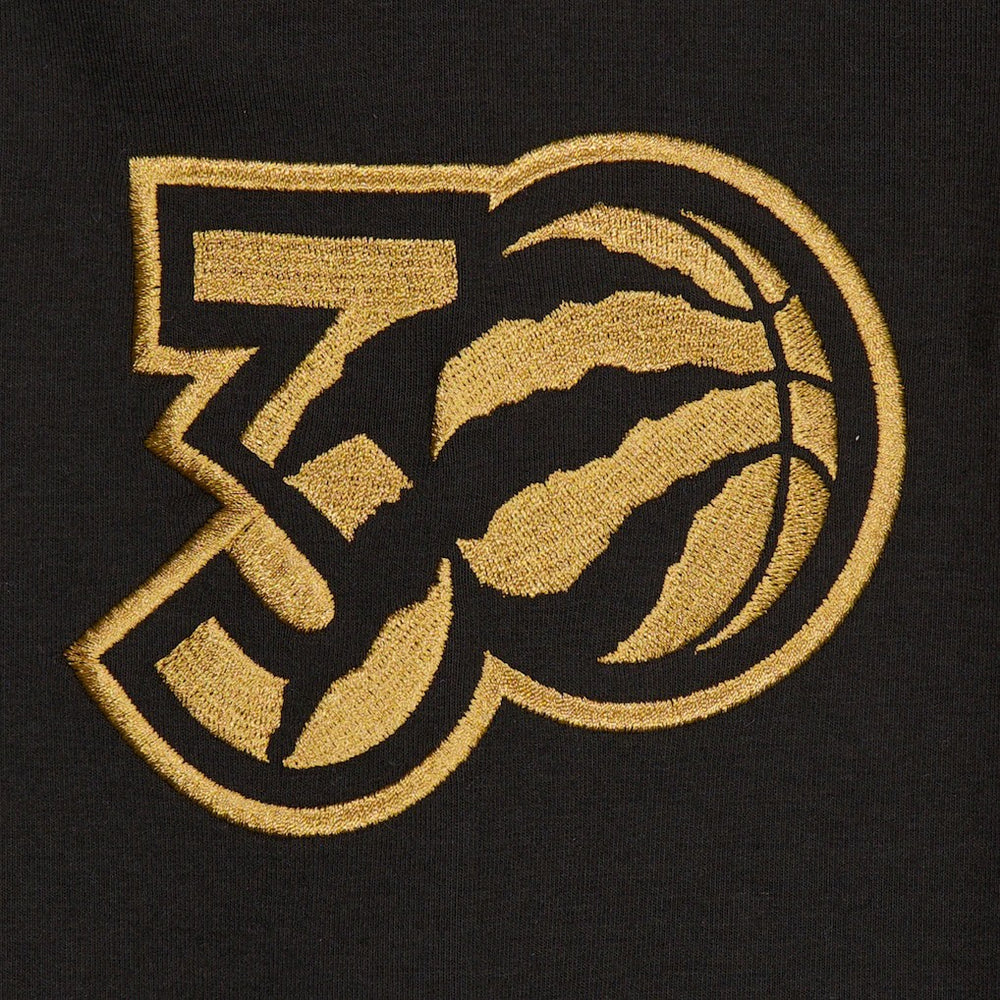 Toronto Raptors 2024/25 City Edition Chenille Heavyweight Pullover Hoodie Black - NBA