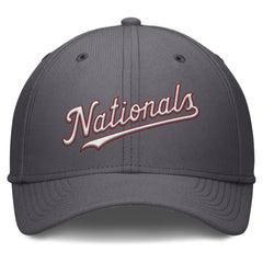 Washington Nationals Nike Swoosh Performance Flex Hat - MLB