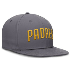 San Diego Padres Nike Performance True Fitted Hat - MLB