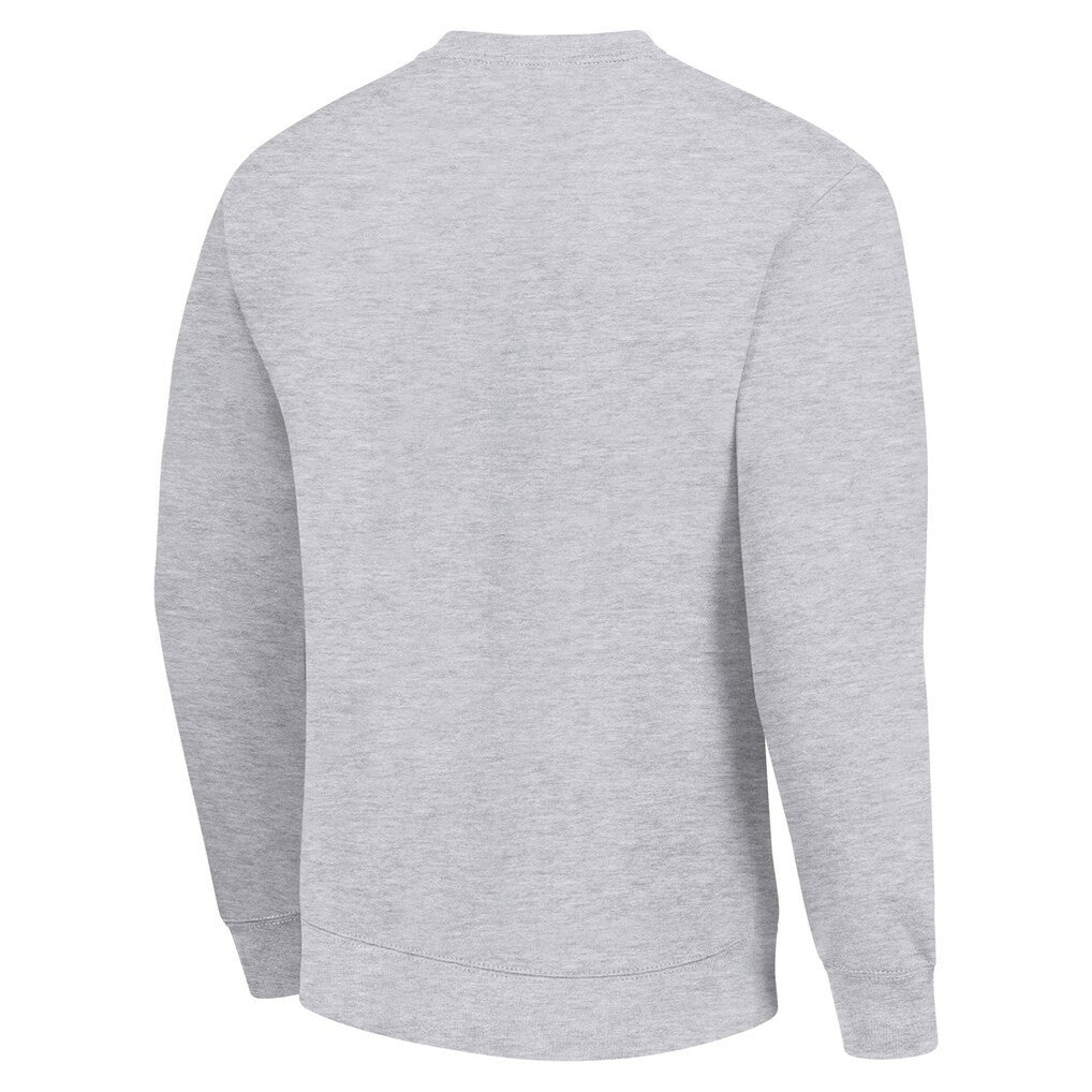 Green Bay Packers Starter Color Scratch Team Graphic Fleece Pullover Sweatshirt Heather Gray | NFL
